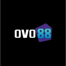 ovo88 - Scanner PDF APK